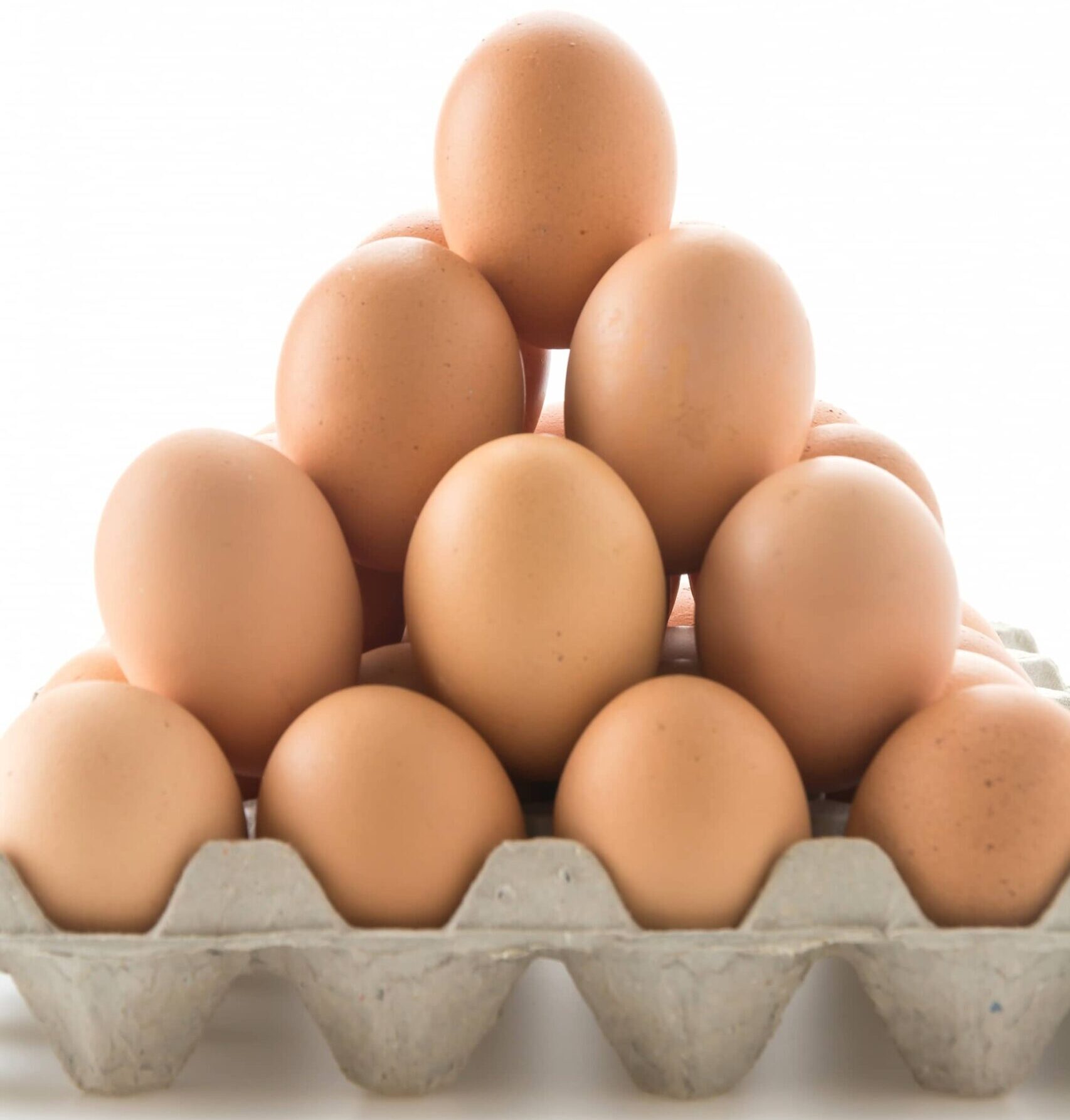 hen eggs 1339 871 full scaled e1701792108985