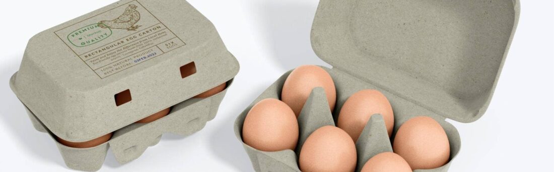 rectangular-egg-cartons-6-mockup-opened-closed
